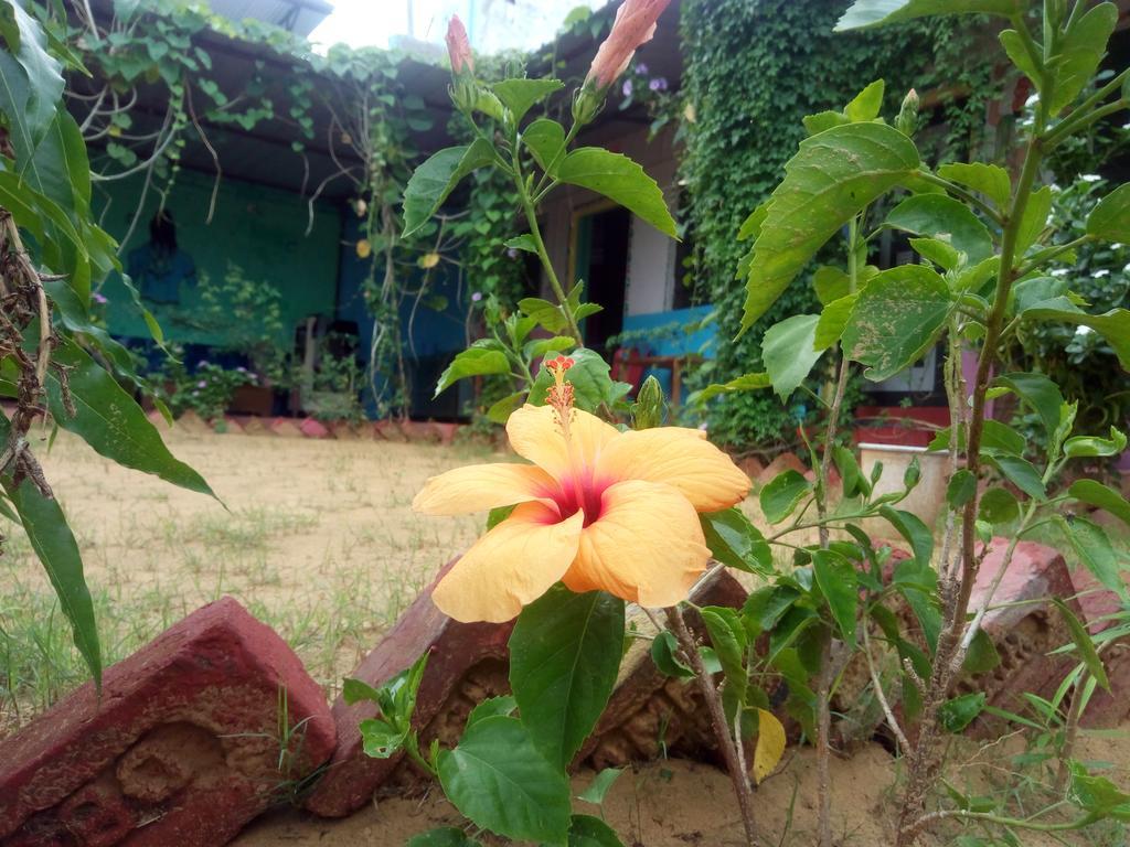Rk Guest House Pushkar Exterior foto